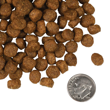 Fromm - Salmon À La Veg Recipe (Dry Dog Food)