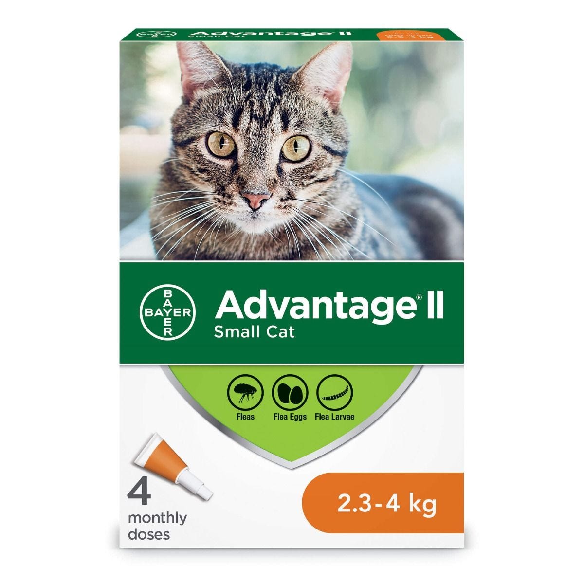 Bayer Advantage II Flea Treatment for Cats Weight 2.3kg 4kg ARMOR THE POOCH