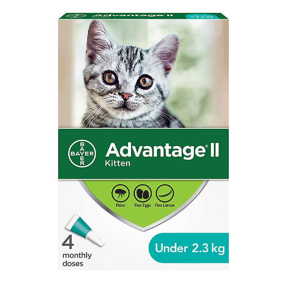 Advantage flea drops for cats online