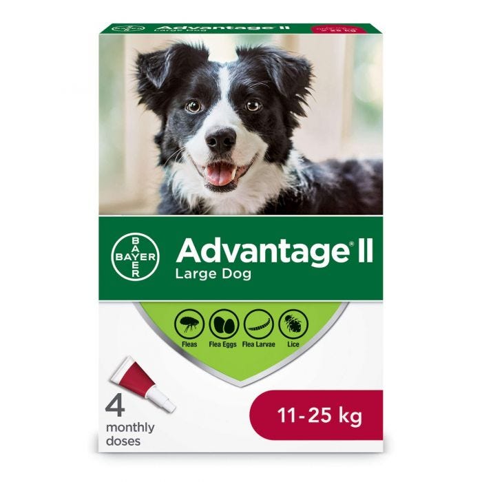 Bayer Advantage II Flea Treatment for Dogs Weight 11kg-25kg