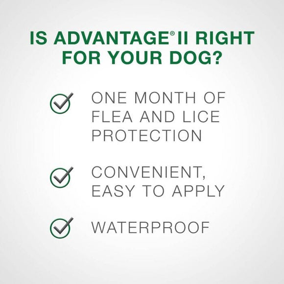 Bayer - Advantage II - Topical Flea Treatment for Dogs (For Dogs 11kg-25kg)-ARMOR THE POOCH