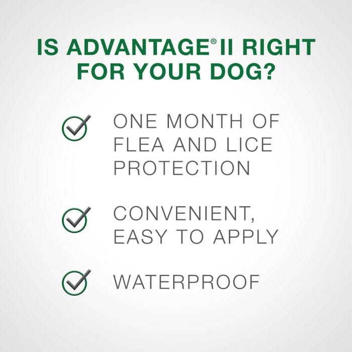 Bayer - Advantage II - Topical Flea Treatment for Dogs (For Dogs 11kg-25kg)-ARMOR THE POOCH
