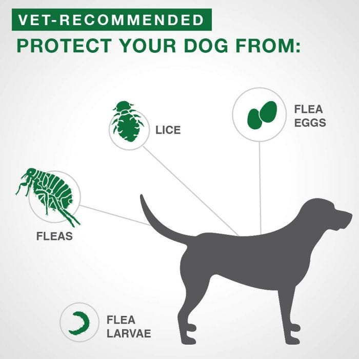 Bayer - Advantage II - Topical Flea Treatment for Dogs (For Dogs Over 25kg)-ARMOR THE POOCH