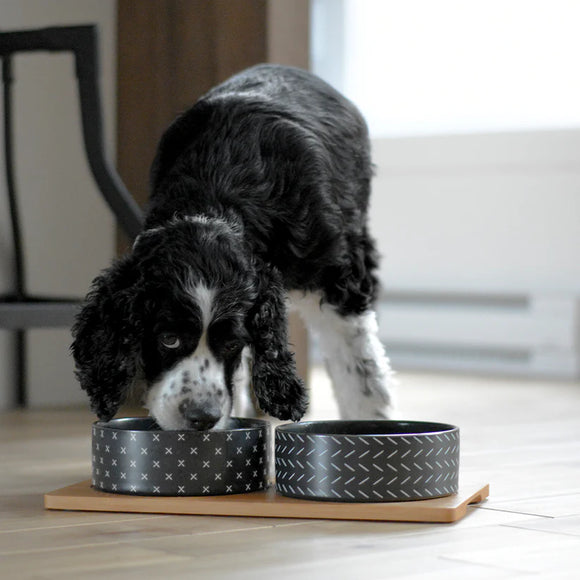 BeOneBreed | Bowls on Bamboo Base for pet | Dog Bowl | ARMOR THE POOCH