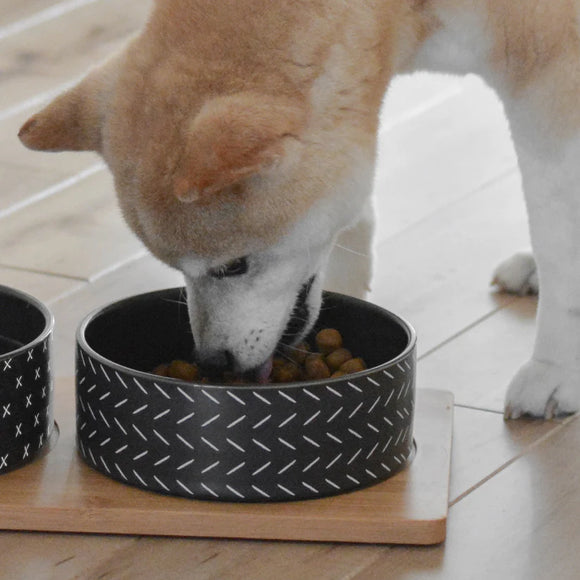 BeOneBreed | Bowls on Bamboo Base for pet | Dog Bowl | ARMOR THE POOCH