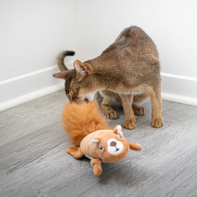 BeOneBreed | Electronic Squirrel | Cat Toy