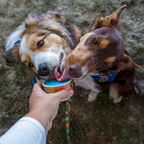 Big Country Raw - FROZEN GOAT - Fundae (Frozen Creamy Treat)