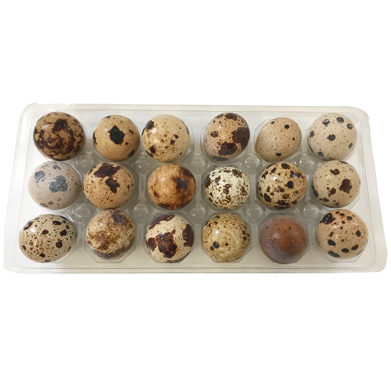 Big Country Raw - Quail Eggs (18 count) - Frozen Product