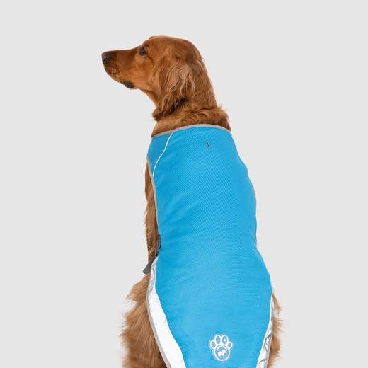 Canada Pooch - Chill Seeker Cooling Vest
