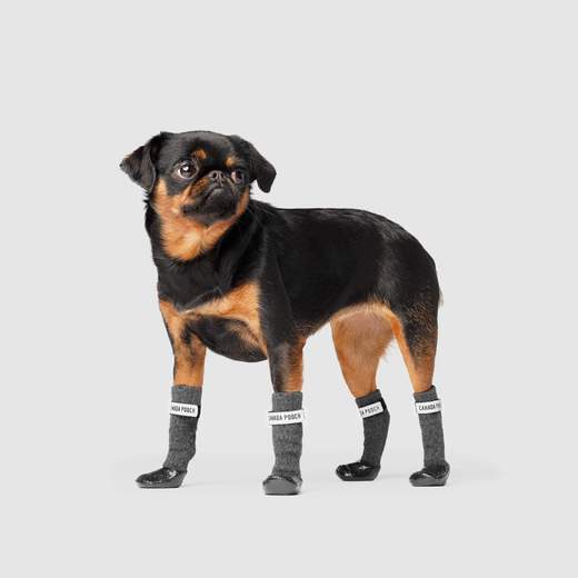 Canada Pooch - Secure Sock Boots