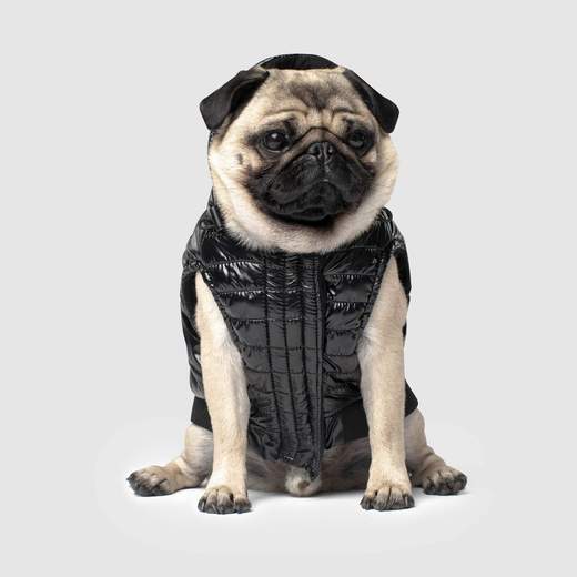 Canada Pooch - Shiny Puffer Vest (Black)