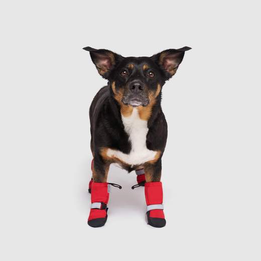 Canada Pooch-Soft Shield Boots (Red)-ARMOR THE POOCH