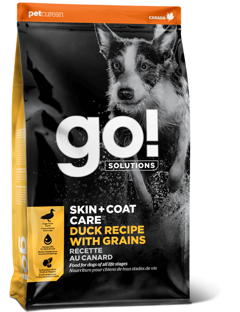 Dog food that helps with dry skin hotsell