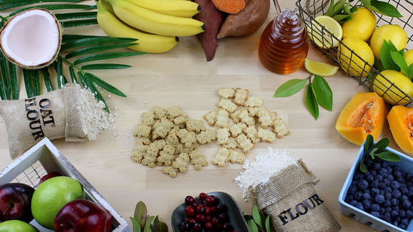 Grandma Lucy's Organic Blueberry Oven Baked Dog Treats