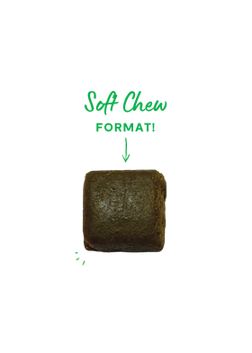 Open Farm | Immune Supplement Chews | Dog Supplements Near Me Toronto | ARMOR THE POOCH