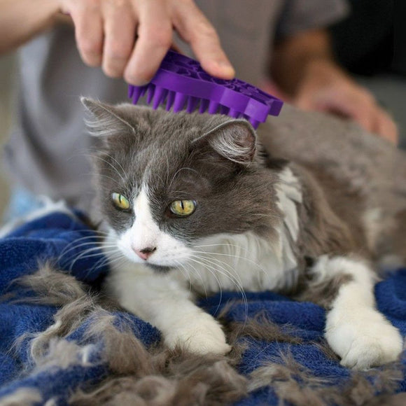 KONG - Cat ZoomGroom