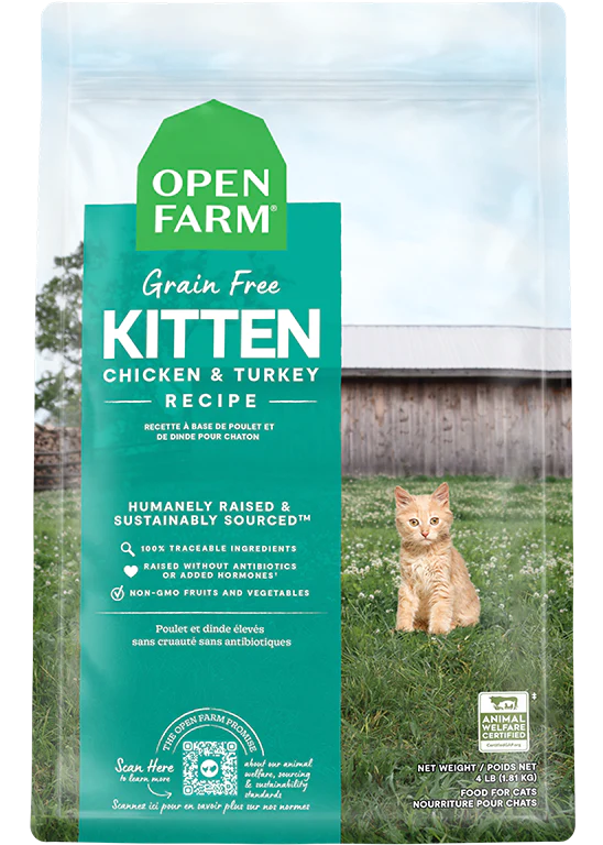 Kitten food 2025 near me