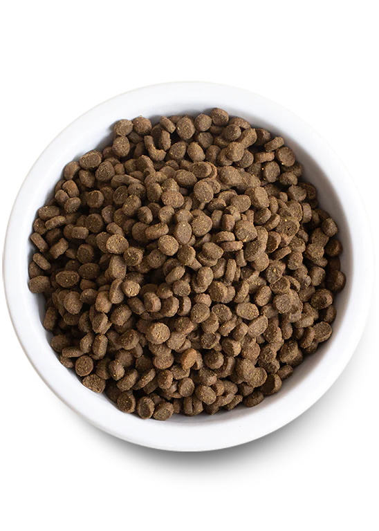 Open Farm | Grain-Free Chicken & Turkey Kitten Food | Dry Kitten Food Near Me Toronto | ARMOR THE POOCH