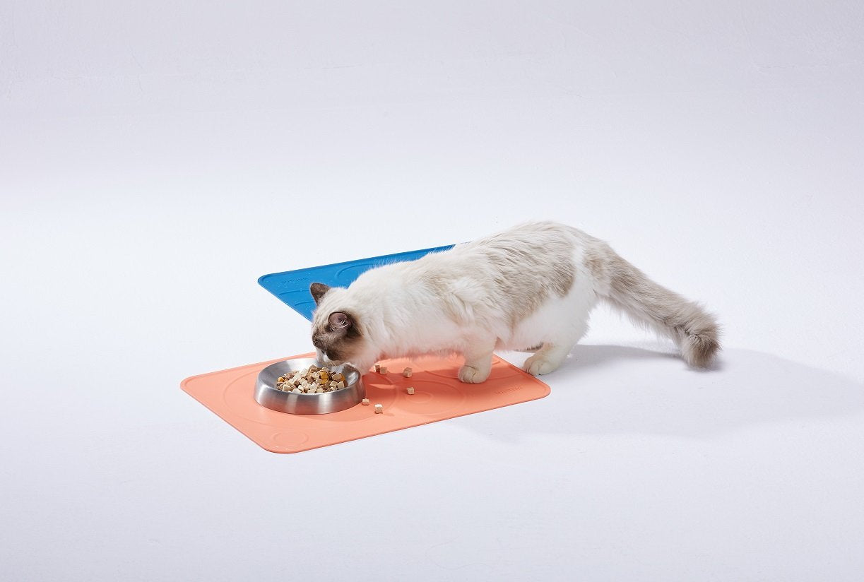LINSLINS - Galaxy Placemat for Pets