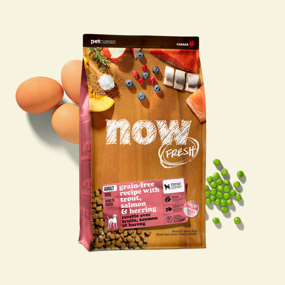 NOW FRESH - Grain Free Fish Recipe for Adult Dogs