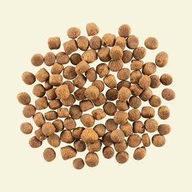 NOW FRESH - Grain Free Red Meat Recipe for Adult Dogs