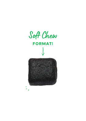 Open Farm | Skin & Coat Supplement Chews for Dogs | ARMOR THE POOCH