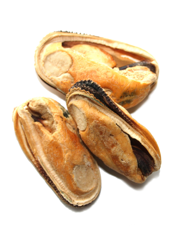 The NZ Natural Pet Food Co. | Woof | Freeze Dried New Zealand Green Mussel | Dog Treat