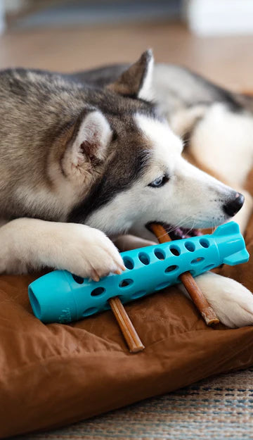 Totally Pooched | Stuff'n Chew Bully Stick Holder | ARMOR THE POOCH