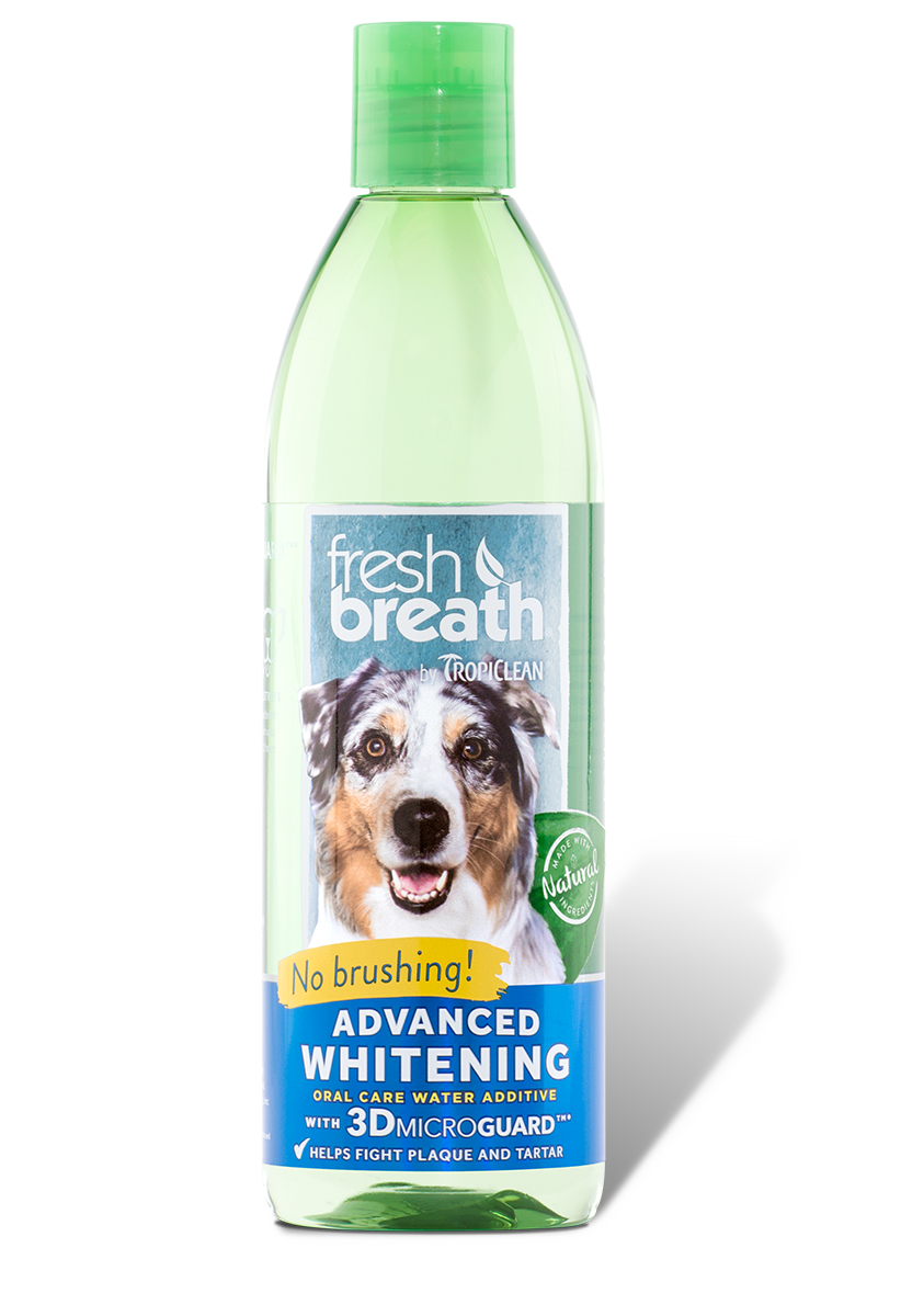 Dental fresh water 2025 additive for dogs