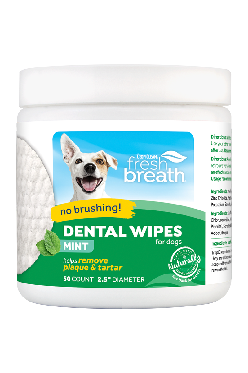 Dental products shop for dogs