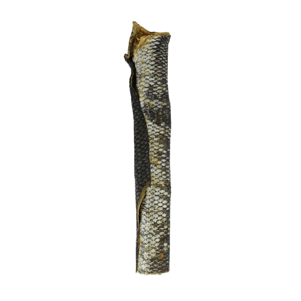Dogs salmon skin clearance