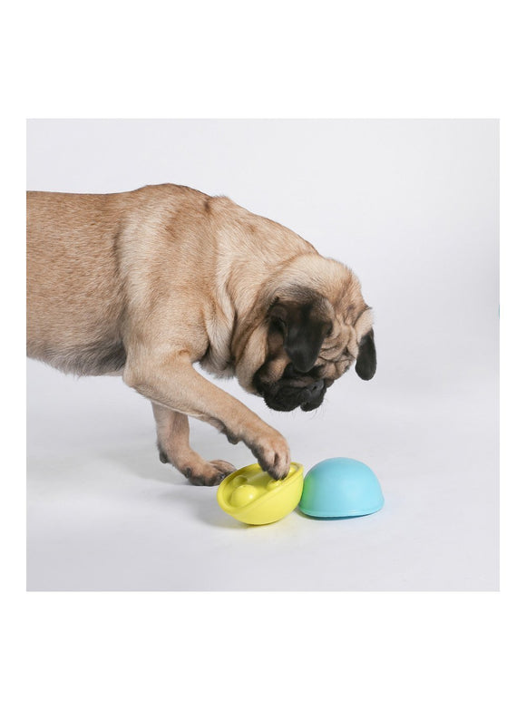 Pidan Dog Squeaky Toy Turtle | ARMOR THE POOCH