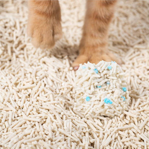 Cat Litter Toronto | Pidan Tofu Cat Litter | ARMOR THE POOCH