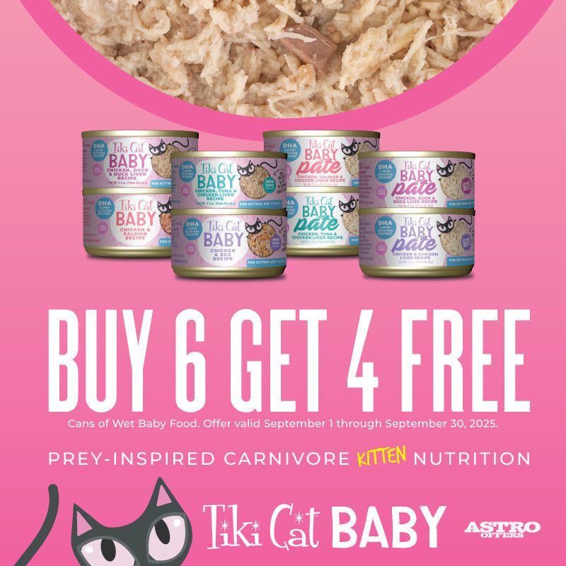 Tiki Cat | Wet Kitten Food | Buy 6 Get 4 Free