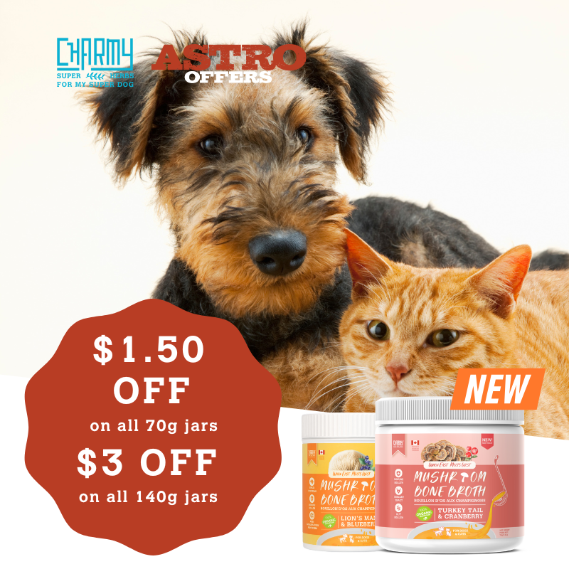 Charmy Pet | Mushroom Broth | Save Up to $3