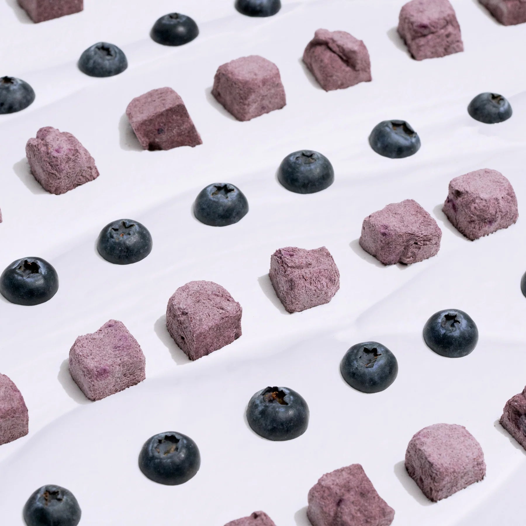 Wagging Bum - Anytime Yogurt! Freeze Dried Yogurt with Blueberry (For Dogs)