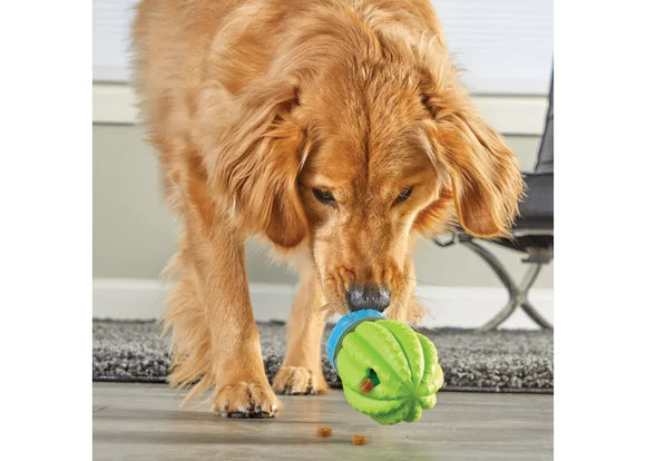 Brightkins - Cactus Surprise! Treat Dispenser (For Dogs)