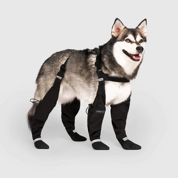 Canada Pooch - Suspender Boots (Black)