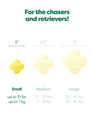 Earth Rated - Fetch Toy (Dog Toy)