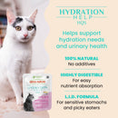 Almo Nature HQS Hydration Help Salmon Recipe in Broth 50g