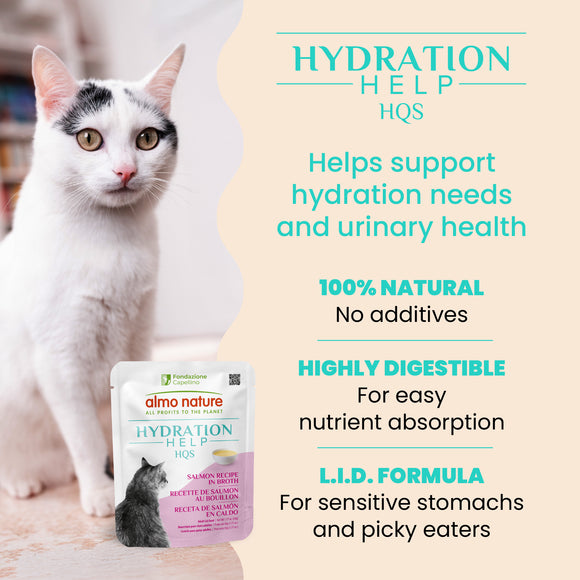 Almo Nature HQS Hydration Help Salmon Recipe in Broth 50g