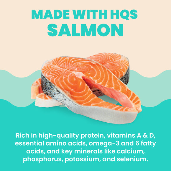 Almo Nature HQS Hydration Help Salmon Recipe in Broth 50g