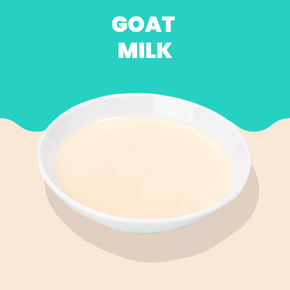 Almo Nature HQS Hydration Help Goat Milk 50g