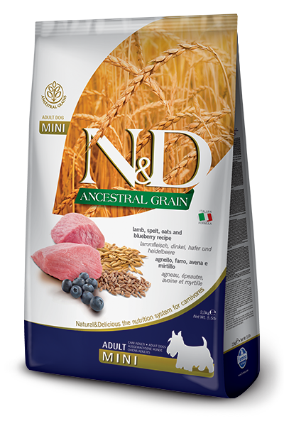 Farmina - N&D Ancestral Grain - Lamb & Blueberry Mini (Dry Dog Food)