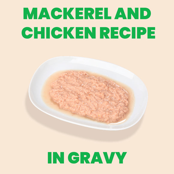 Almo Nature HQS Mousse Mackerel and Chicken Recipe in gravy 70g