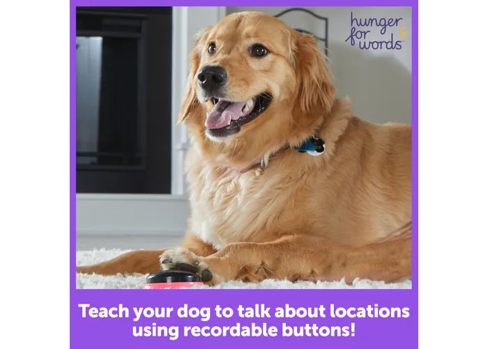 Brightkins - Talking Pet Next Words: Locations (For Dogs)