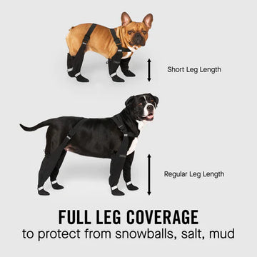 Canada Pooch - Suspender Boots (Black)