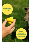 Earth Rated - Fetch Toy (Dog Toy)