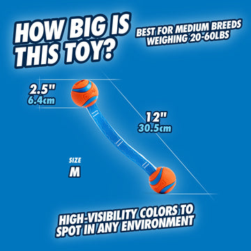 Chuckit! Ultra Duo Tug dog toy 2