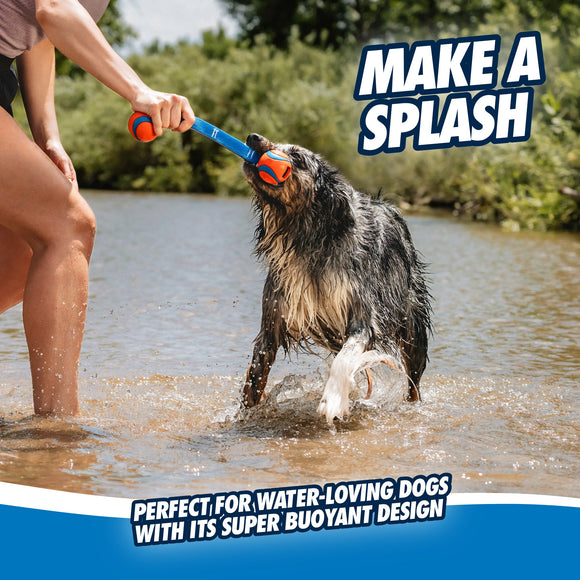 Chuckit! Ultra Duo Tug dog toy 4